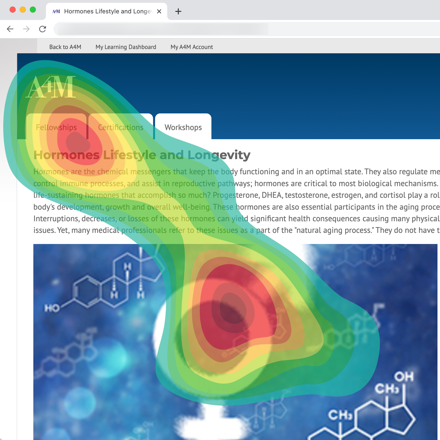 Heat map on website